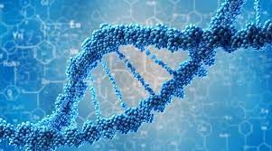 Biotech DNA