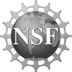 nsf-logo-CMVwz09r