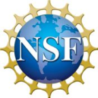 National Science Foundation SBIR Grant logo